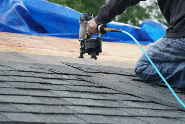 Best Storm Damage Roof Repair  in Soh Ogden, UT